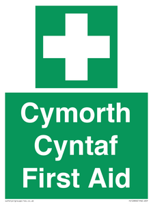 Cymorth Cyntaf First Aid in Welsh